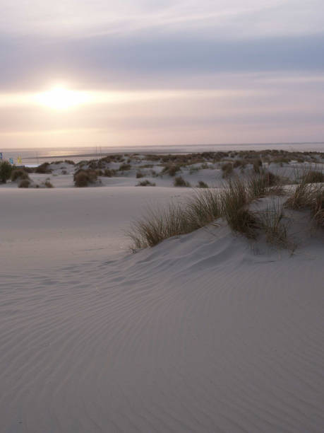 istock borkum beach in the north sea 1086345884