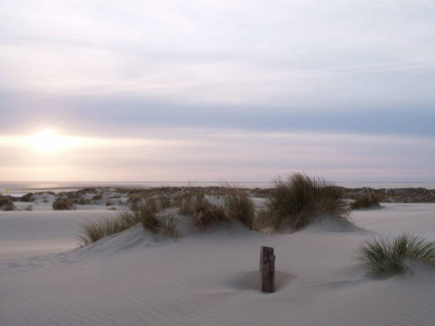 istock borkum beach in the north sea 1086345888