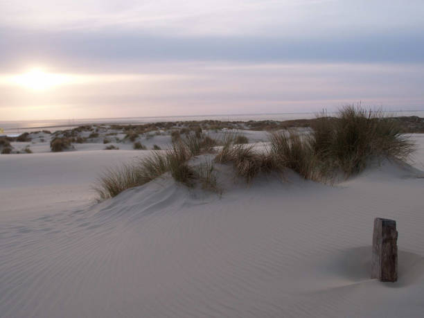 istock borkum beach in the north sea 1086345894