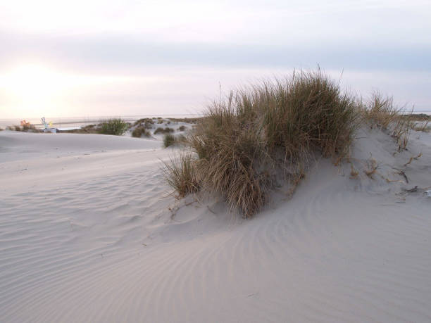 istock borkum beach in the north sea 1086345970