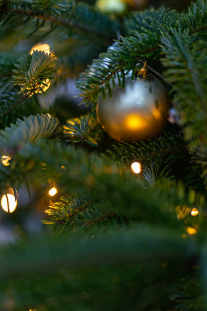 istock glossy christmas balls on tree at market in advent 1086357246