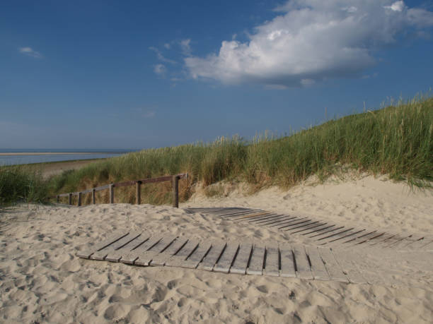 istock beach of langeoog 1086361534