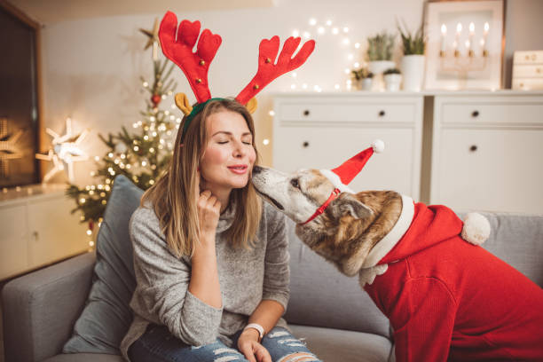 istock Christmas masking with dog 1086365510