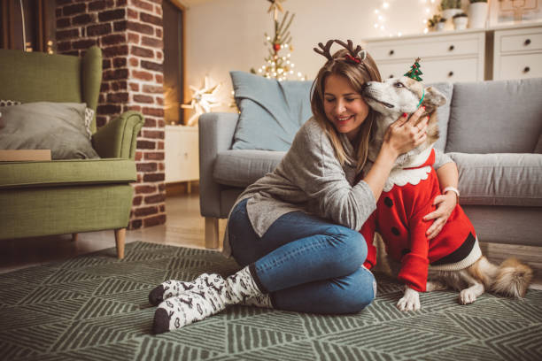 istock Christmas masking with dog 1086365570