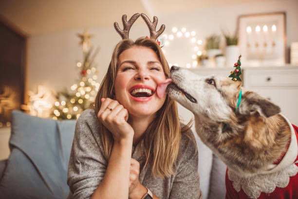 They just love Christmas