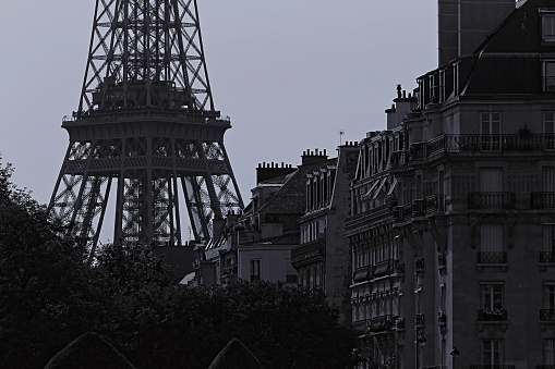 The Eiffel Tower is viewed between an ivy wall and a row of beautiful iron lampposts.