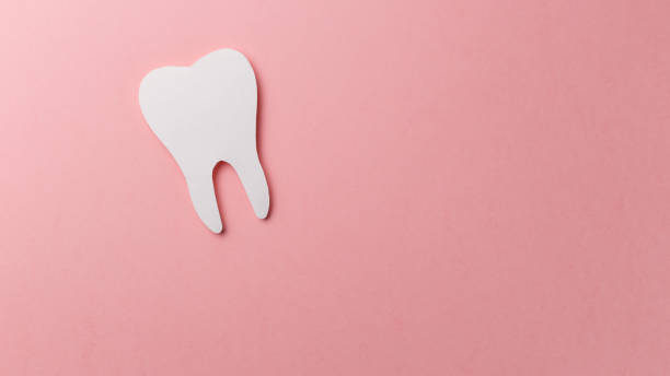 White tooth on pink background with copy space. Oral dental hygiene. Teeth whitening. Dental health concept. Oral care, teeth restoration. Dentist day concept. Flat lay. Top view. Pastel colors blanco de dientes sobre fondo rosa con espacio de copia. higiene oral dental. dientes que blanquean. concepto de salud dental. cuidado oral, restauración de los dientes. concepto de día de dentista. la endecha plana. vista superior. colores pastel