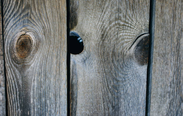 istock Wooden grey natural vertical planks with holes background. Old rustic texture. 1086373262