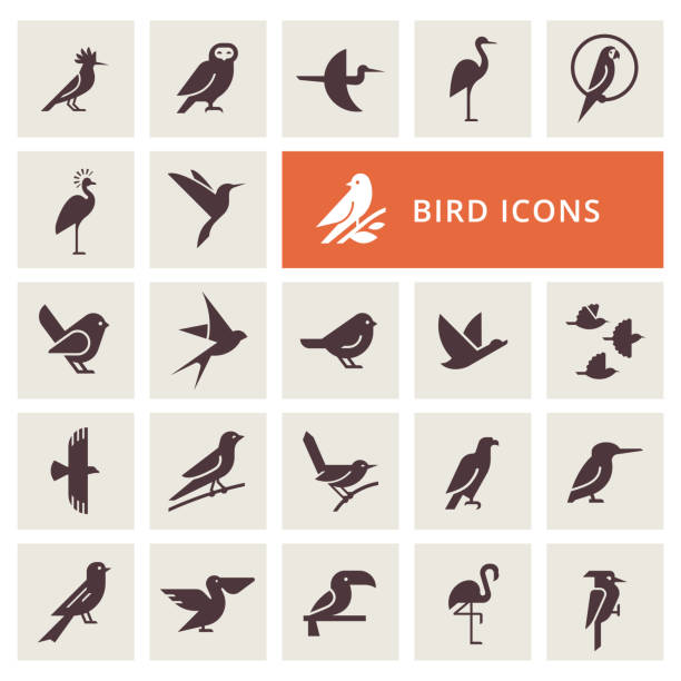 ilustraciones, imágenes clip art, dibujos animados e iconos de stock de conjunto de iconos de pájaros - canturrear