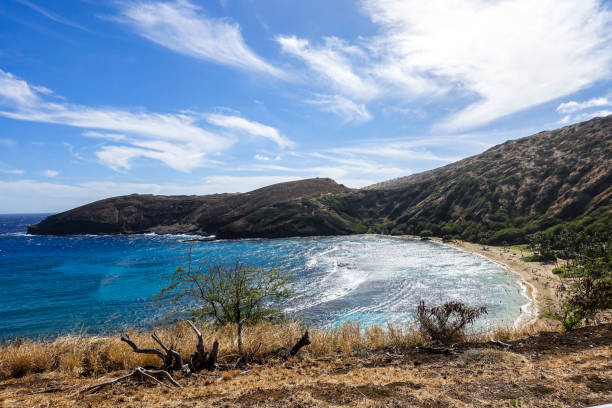 istock Hawaiian sea seen from a cliff, O'ahu, Hawaii 1086381154