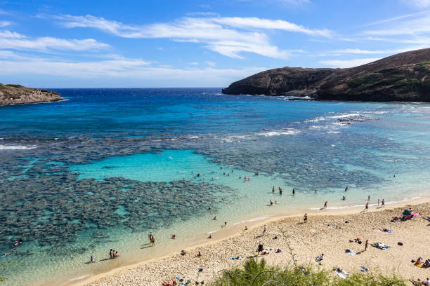 bahía de hanauma, o ' ahu, hawaii - hanauma bay hawaii islands oahu bay fotografías e imágenes de stock