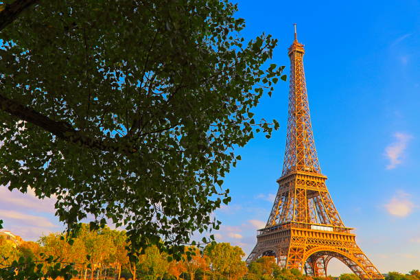 istock Romanticism: Eiffel Tower framed by trees at gold colored sunset – Paris, France 1086382964