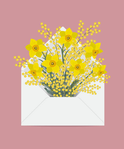 букет нарциссов и мимозы в почтовом конверте - daffodil stem yellow spring stock illustrations
