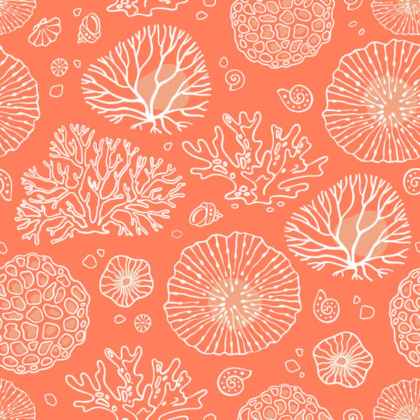 nahtlose muster vektor mit korallen - korallenriff stock-grafiken, -clipart, -cartoons und -symbole