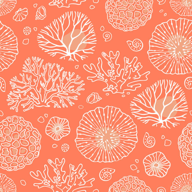 bezszwowy wektor wzoru z koralowcami - underwater abstract coral seaweed stock illustrations