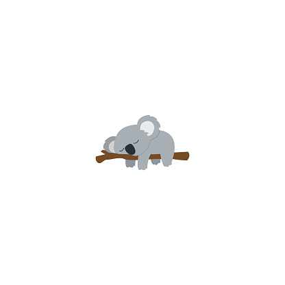 Lazy koala sleeping on a branch flat design, vector illustration
