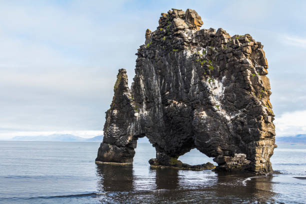 istock Hvitserkur stone arch on beach in Iceland 1086406300