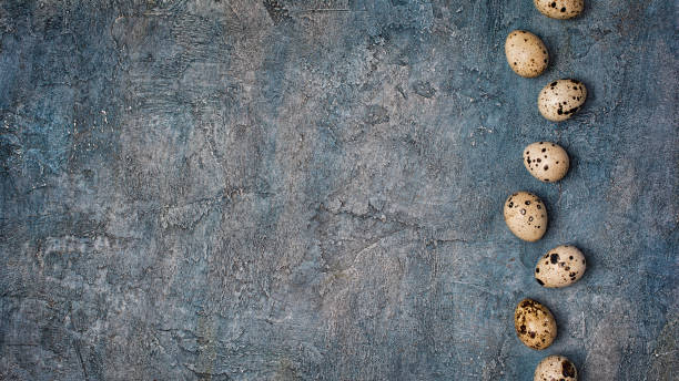 istock Top view on wide banner with small quail eggs 1086420744