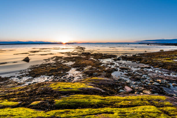 coucher du soleil à rimouski (québec), saint laurent, en gaspésie, canada, roches, rochers, plage de rochers, eau turquoise peu profonde, reflet de soleil au-dessus de horizon, sunburst, glade, chemin, ciel d’algues bleu - atlantic coast flash photos et images de collection