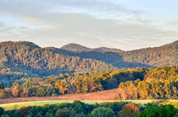 paisagem, paisagem de colinas de vinha, adega, montanhas appalachian, floresta no outono, as flores durante o pôr do sol, manhã cedo, na virgínia - blue ridge mountains appalachian mountains appalachian trail forest - fotografias e filmes do acervo