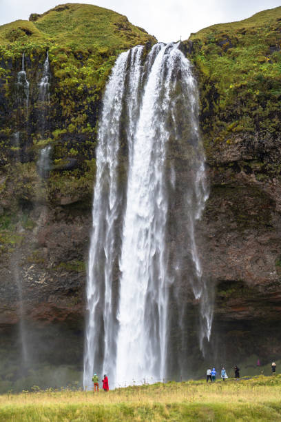 istock Seljalandsfoss view from far, ring road, Iceland 1086429654