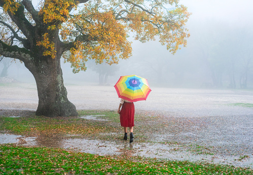 Beautiful woman posing with an umbrella under rain