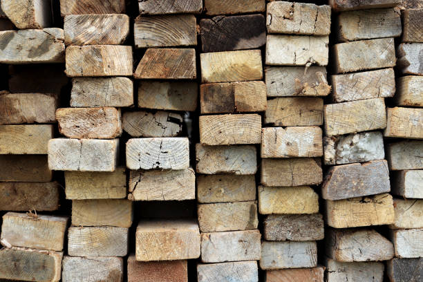 istock Timber butts texture. Rough grunge wooden background. 1086450910