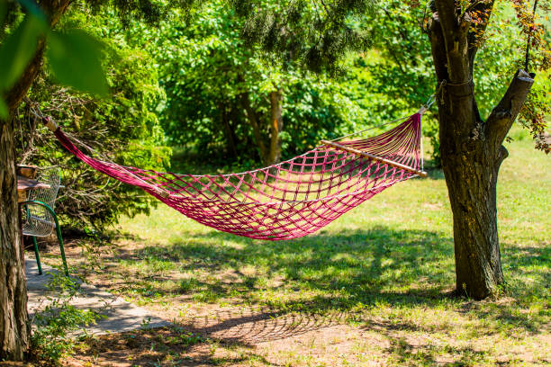 istock Summer Garden with Hanging Hammock for Relaxation 1086454912