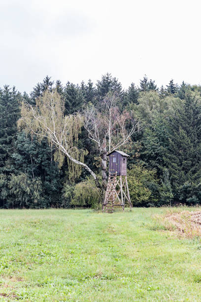 istock Lookout for the Hunter in the Woods 1086455064