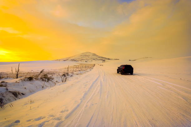 istock Winter field with the frosty vegetation lit by soft sunset light 1086459526