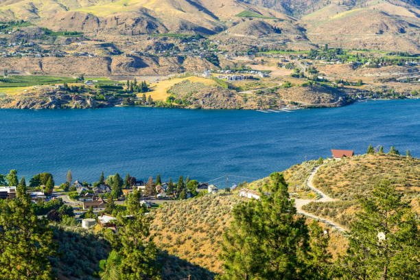 lago chelan, wa-eua - spring tree orchard forest - fotografias e filmes do acervo