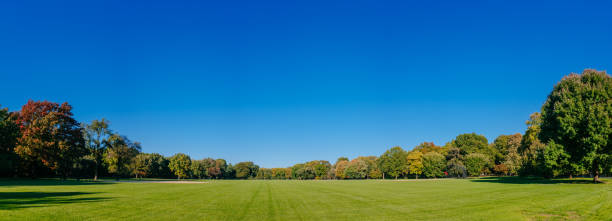 panorama del grande prato vuoto di central park sotto il cielo cristallino, a manhattan, new york city, usa - clear sky panoramic grass scenics foto e immagini stock