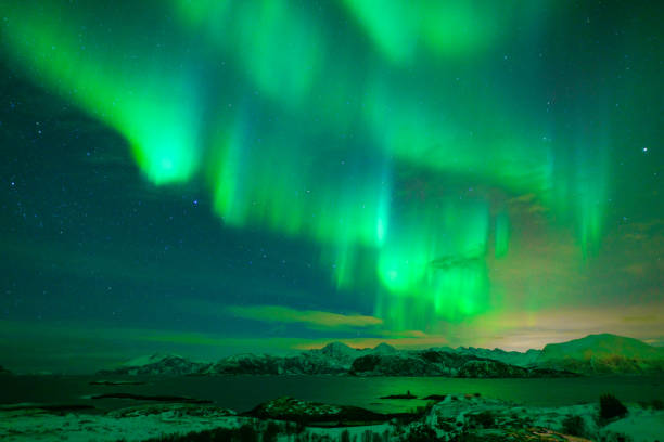 Mixed colorful aurora borealis dancing in the sky