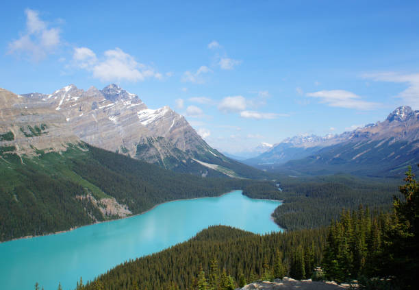 istock Peyto Lake in Bunff national park 1086506652