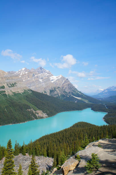 istock Peyto Lake in Bunff national park 1086506654