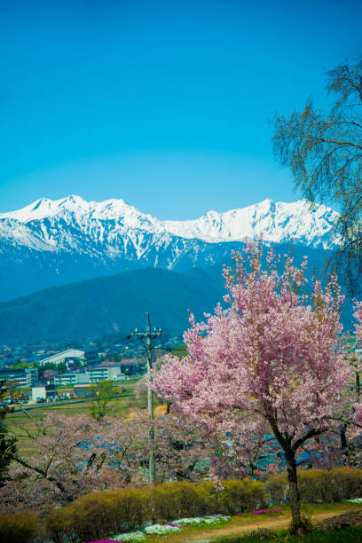 istock Japan Alps from Nagano side in Japan 1086511596