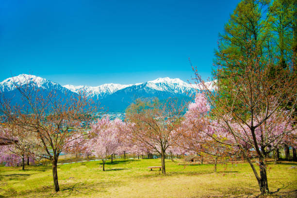 istock Japan Alps from Nagano side in Japan 1086511604