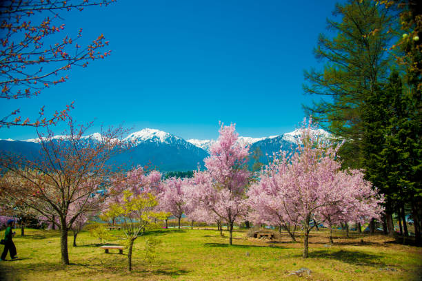 istock Japan Alps from Nagano side in Japan 1086511608