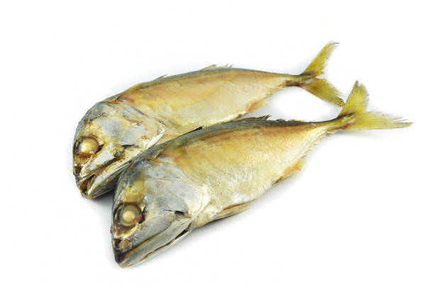 istock Mackerel fish isolated / steamed mackerel cook fish on white plate isolated on white background 1086511948