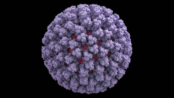 istock 3D CG rendered image of scientifically accurate Bluetongue Virus (BTV) Capsid Structure based on PDB : 2BTV (surface style) 1086530832