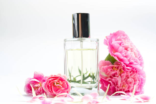 istock Beautiful perfume bottles  and pink carnations on white background 1086536944
