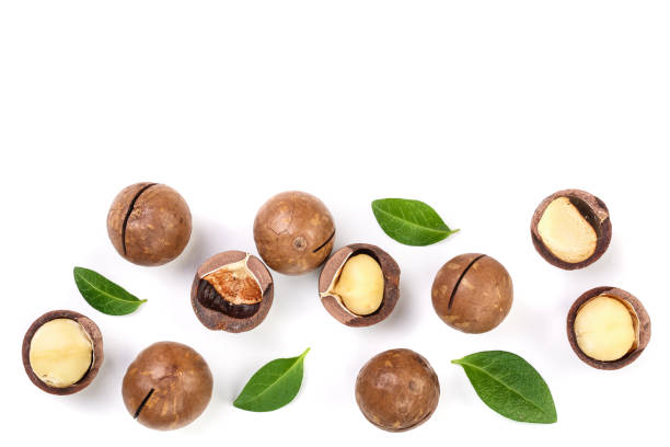 istock Shelled and unshelled macadamia nuts with leaves isolated on white background with copy space for your text. Top view. Flat lay pattern 1086537100