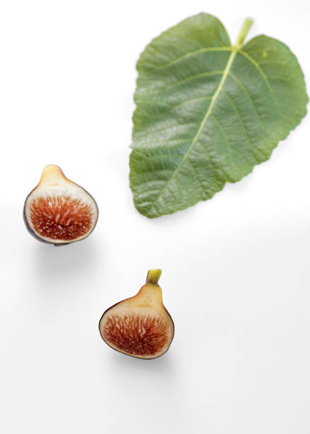 istock Fig fruits with leaves on white background 1086537106