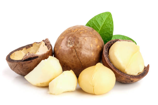 istock Shelled and unshelled macadamia nuts with leaves isolated on white background 1086537124