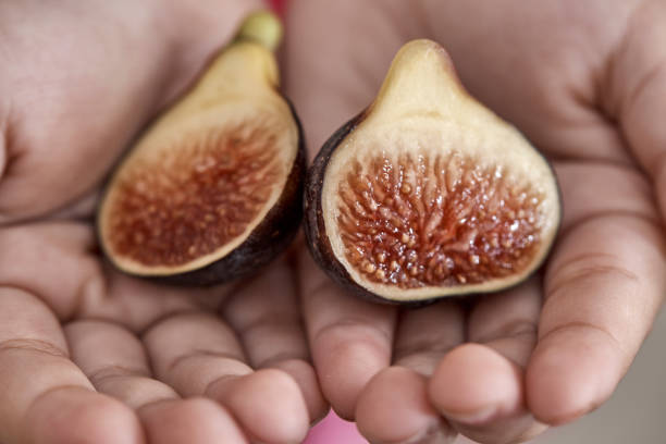 istock Girl's hand holding a Sliced fig 1086537250