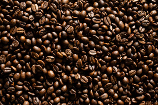 istock Coffee bean close-up. as the background 1086539208