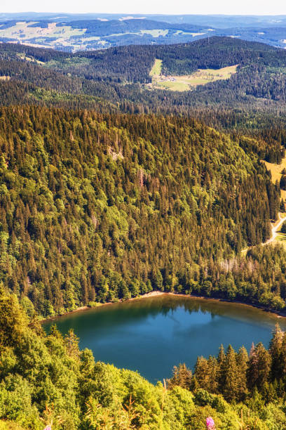 istock View of the mountain lake Feldsee. Black Forest. Germany 1086541688