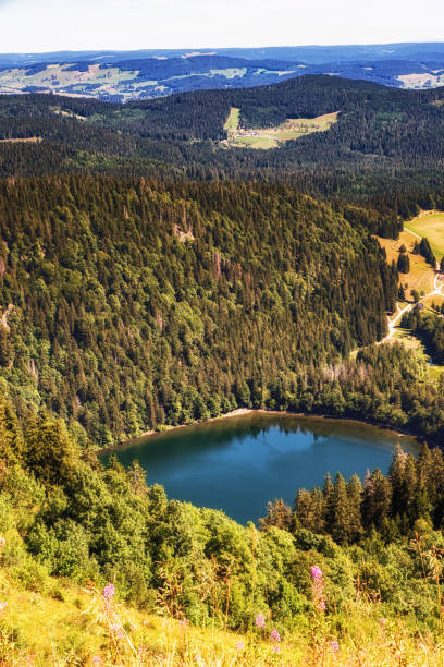 istock View of the mountain lake Feldsee. Black Forest. Germany 1086541698