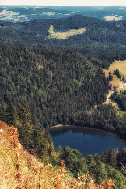 istock View of the mountain lake Feldsee. Black Forest. Germany 1086541708