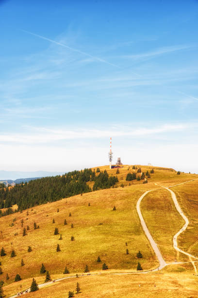istock Panorama view of Feldberg, Germany 1086541730